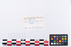 Foto von Bronzebrillenfibel (NHMW-PRAE-078111)